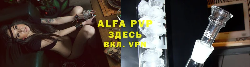 A PVP СК  Белёв 